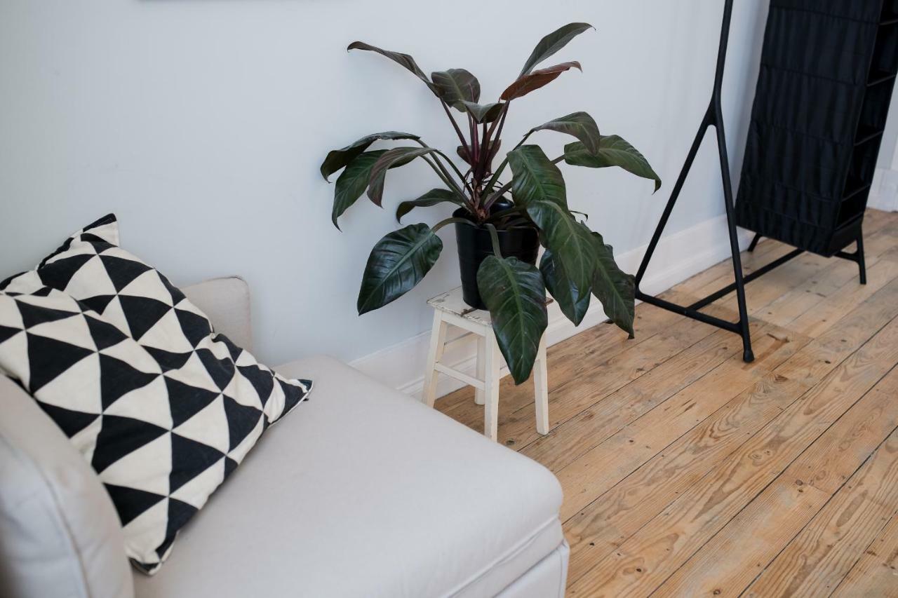 Baixa24 •P2R• Bright Apt In Vibrant Downtown Πόρτο Εξωτερικό φωτογραφία