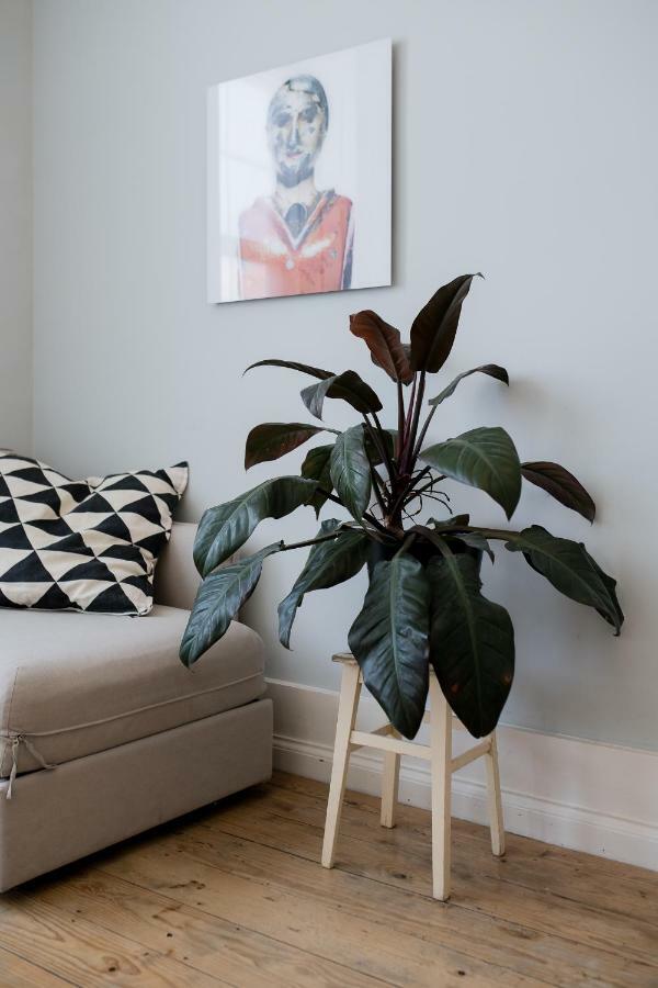 Baixa24 •P2R• Bright Apt In Vibrant Downtown Πόρτο Εξωτερικό φωτογραφία
