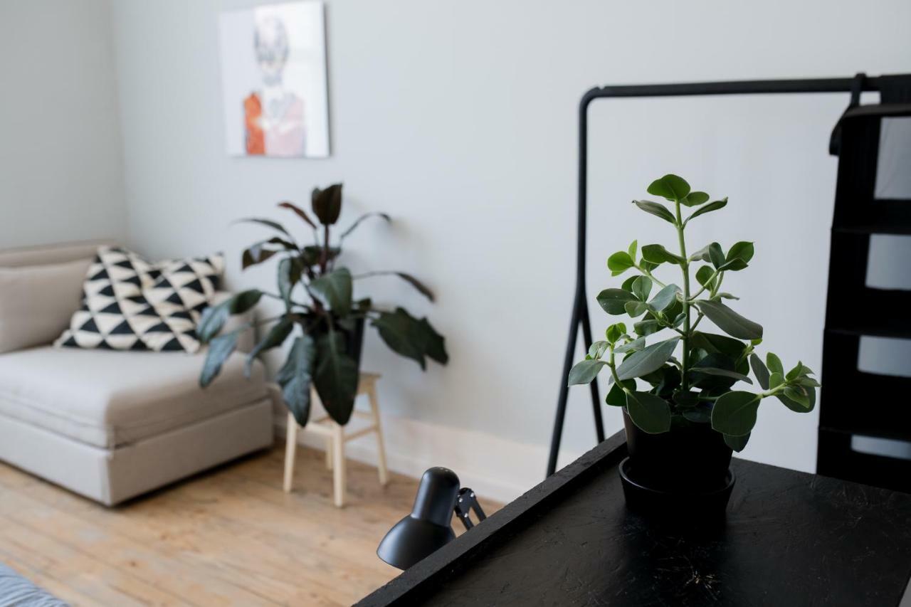 Baixa24 •P2R• Bright Apt In Vibrant Downtown Πόρτο Εξωτερικό φωτογραφία